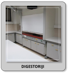 DIGESTORIJI